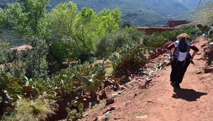 Researcher walking along a dirt path.