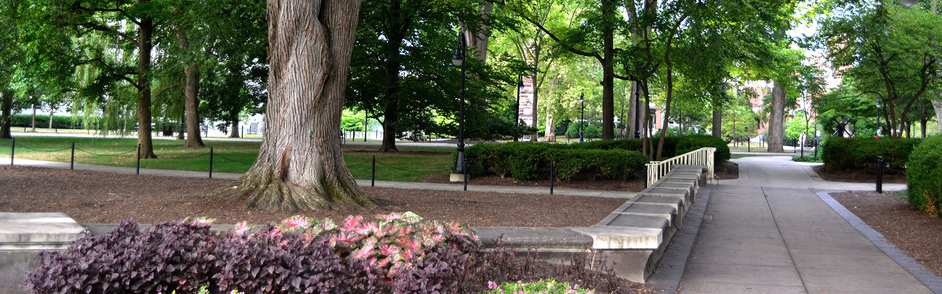 Old Main Lawn