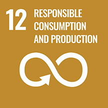 SDG goal 12