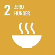 SDG goal 2