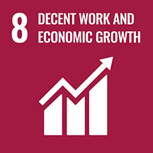 SDG goal 8