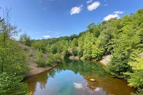 Pennsylvania stream impacted by acid mine drainage.