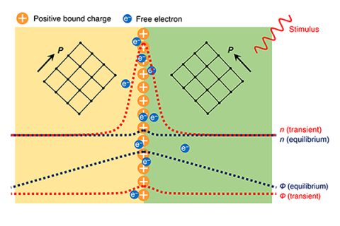 A new computational model developed by Penn State scientists represent an advance in the phase-field model