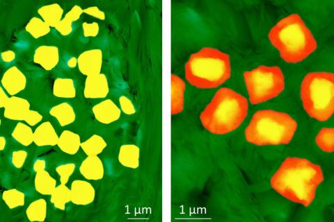 Scanning electron microscope images of raspberry-shaped pyrite (left) and partially oxidized pyrite (right)