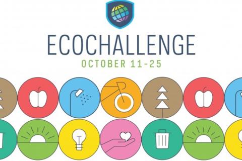 Making sustainable change: Penn Staters invited to join EcoChallenge