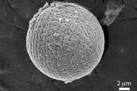 Iron micrometeorites  can provide new clues about the composition of the Earth's upper atmosphere 2.7 billion years ago
