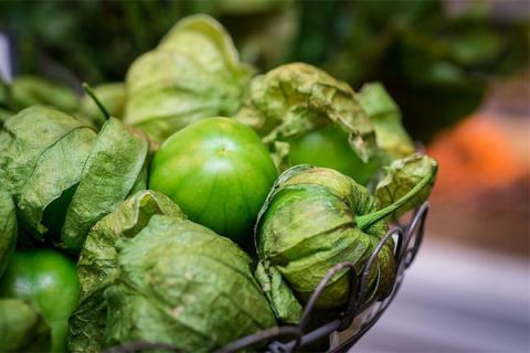 Tomatillo