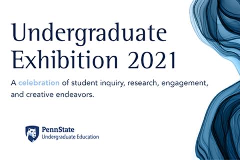 Undergraduate Exhibition