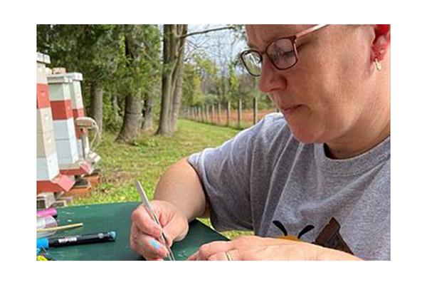 Robyn Underwood, Penn State Extension apiculture educator, places a QR code on the thorax of a worker honey bee.