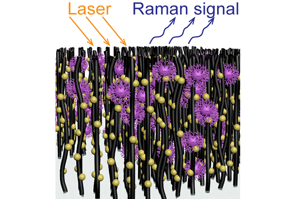 An array of nanotubes decorated with gold nanoparticles captures virus molecules