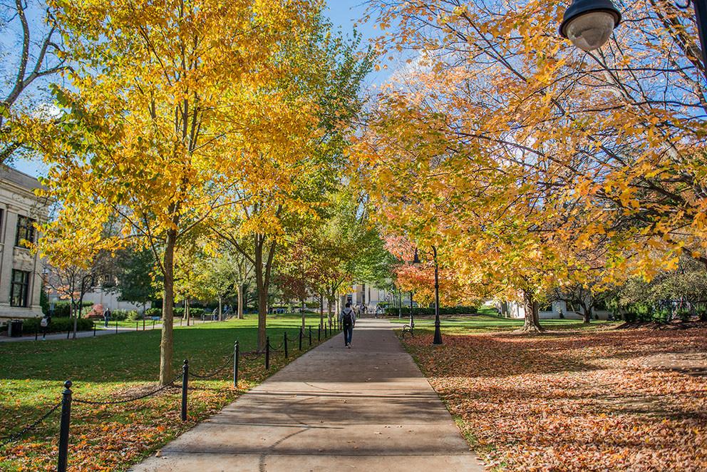 Five Penn State researchers have become cofunded faculty in the Institutes of Energy and the Environment