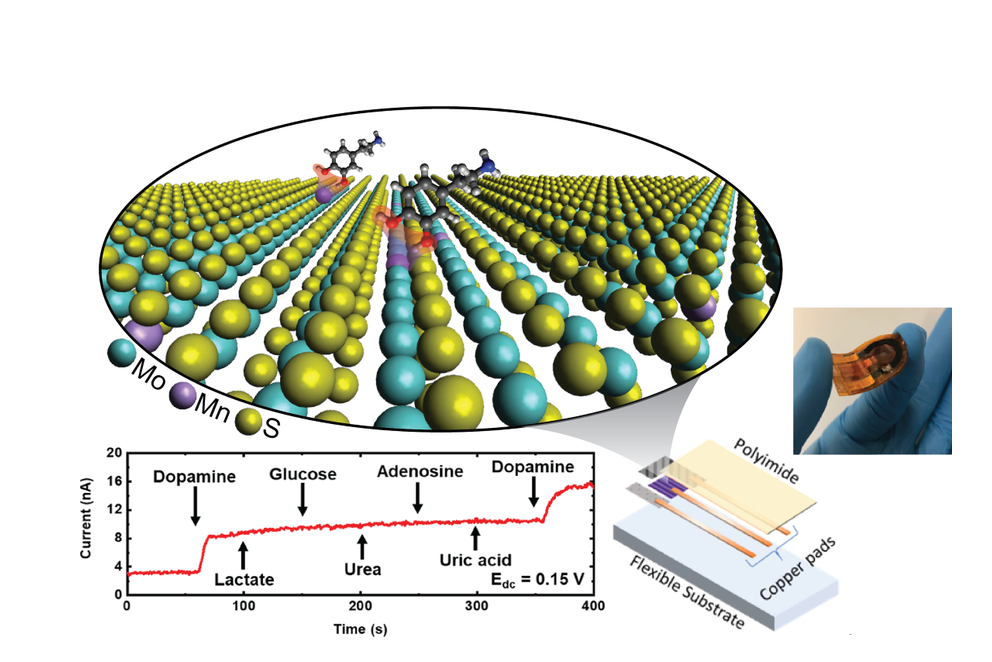 Schematic of a highly selective dopamine detector using two-dimensional material