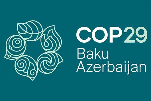 COP29