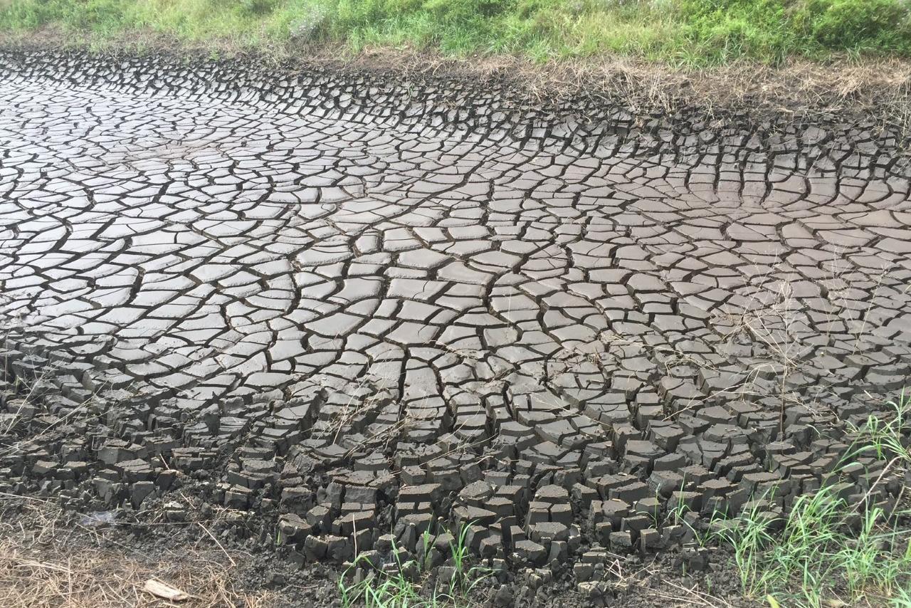 acid mine drainage sludge sites, like this one in central Pennsylvania, are rich in critical minerals.