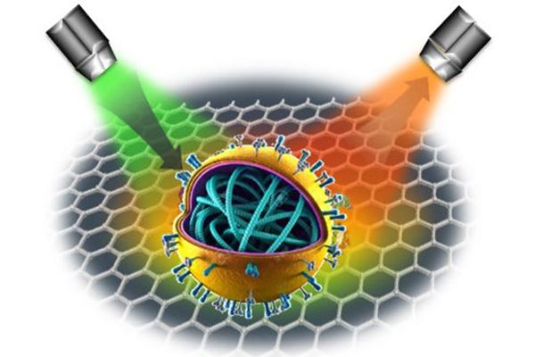 A laser shone on a captured virus identifies atomic and molecular vibrations.