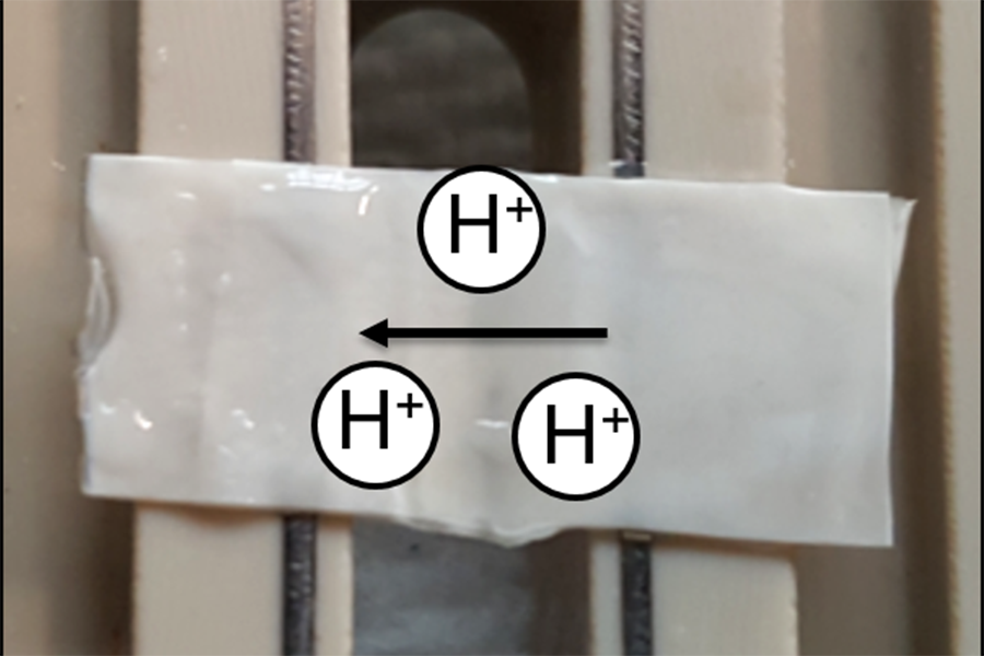 Proton conductivity measurements of protein membranes using impedance spectroscopy.